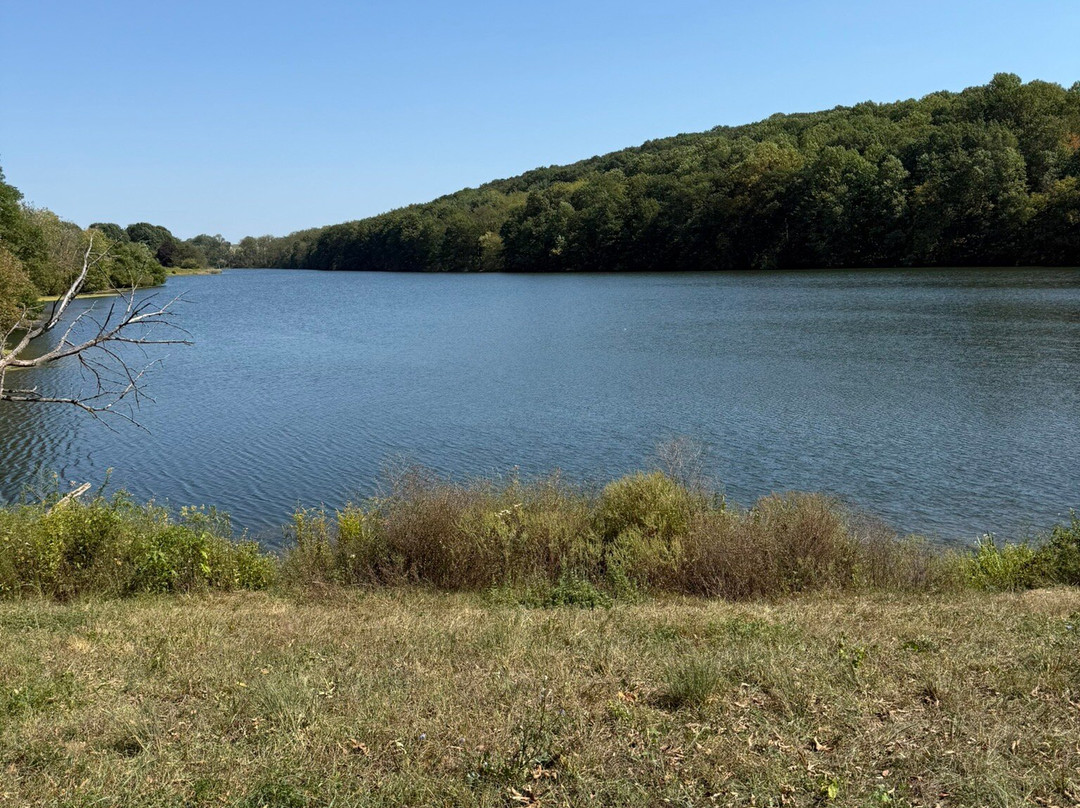 Kaercher Creek Park-Hamburg必去景点