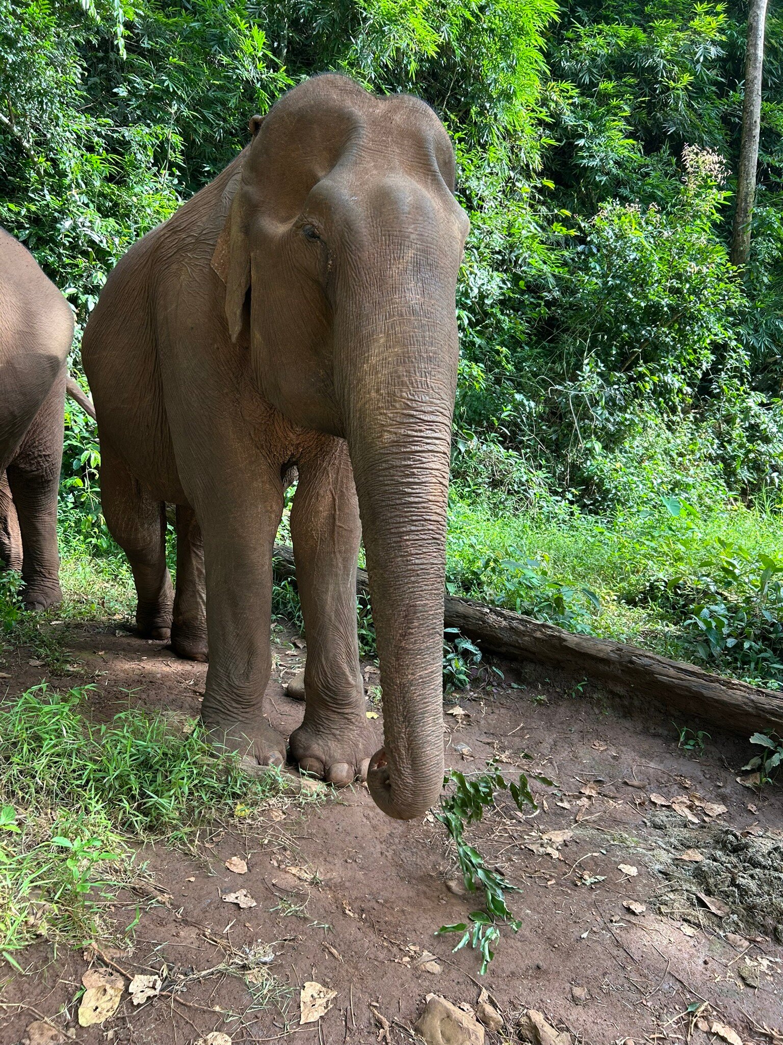 Pidoma Resort By Ehm-官方