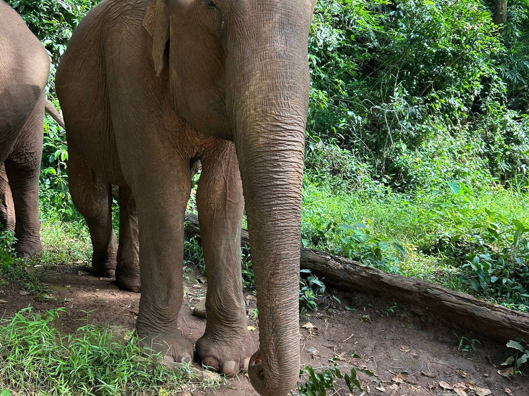 Pidoma Resort By Ehm主图