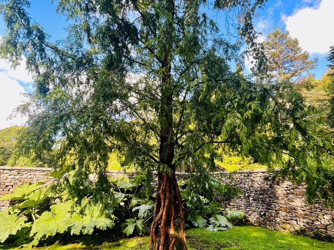 Parcevall Hall Gardens-斯基普顿必去景点