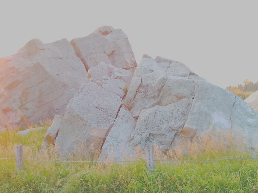 Okotoks Erratic - The Big Rock-奥科托克斯必去景点