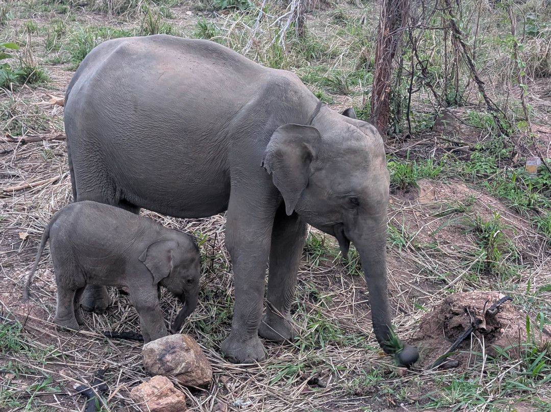 Trinco Lanka Travels-Trincomalee必去景点
