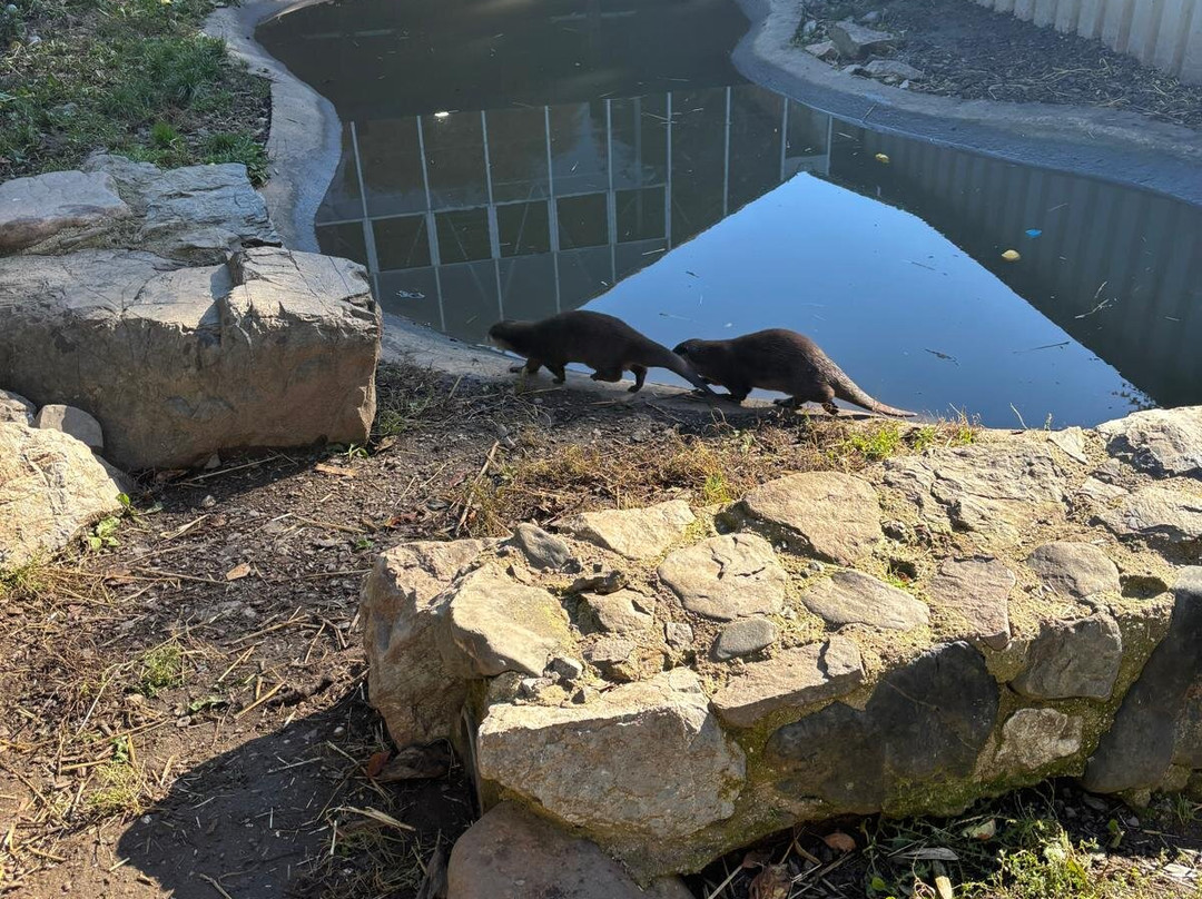 Buckfast Butterfly Farm And Dartmoor Otter Sanctuary-Buckfastleigh必去景点