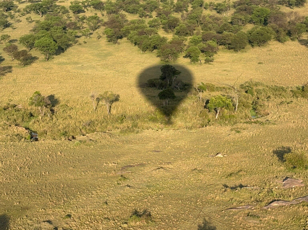 Adventures Aloft Balloon Safari Tanzania-Ikoma必去景点