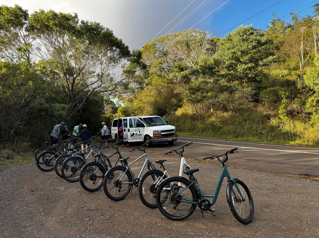 Keko Adventure Tours-哈纳佩佩必去景点