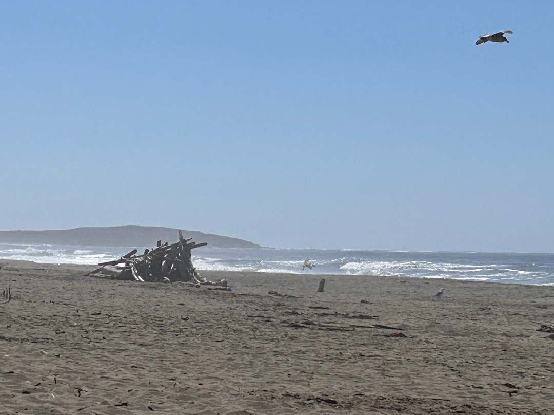 Sonoma Coast State Beach - Salmon Creek-博德加湾必去景点