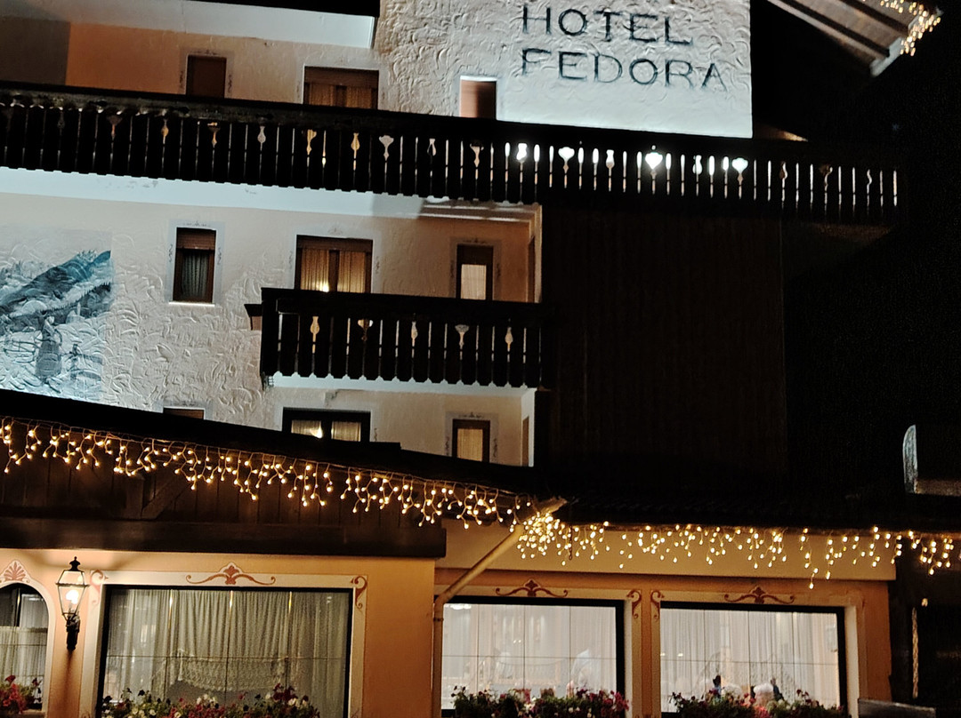 Park Hotel Fedora主图