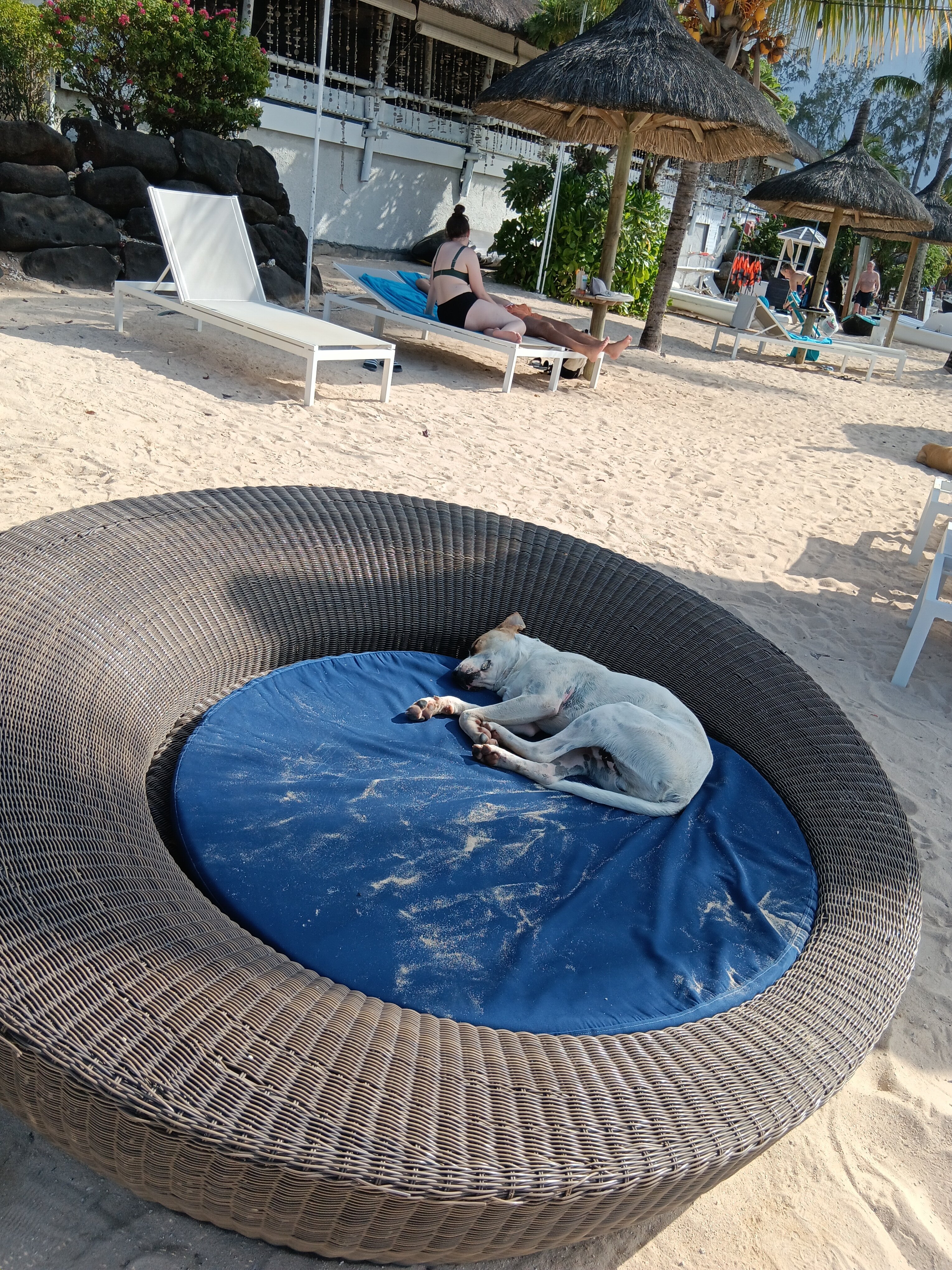 维兰达安碧舍酒店-泳池