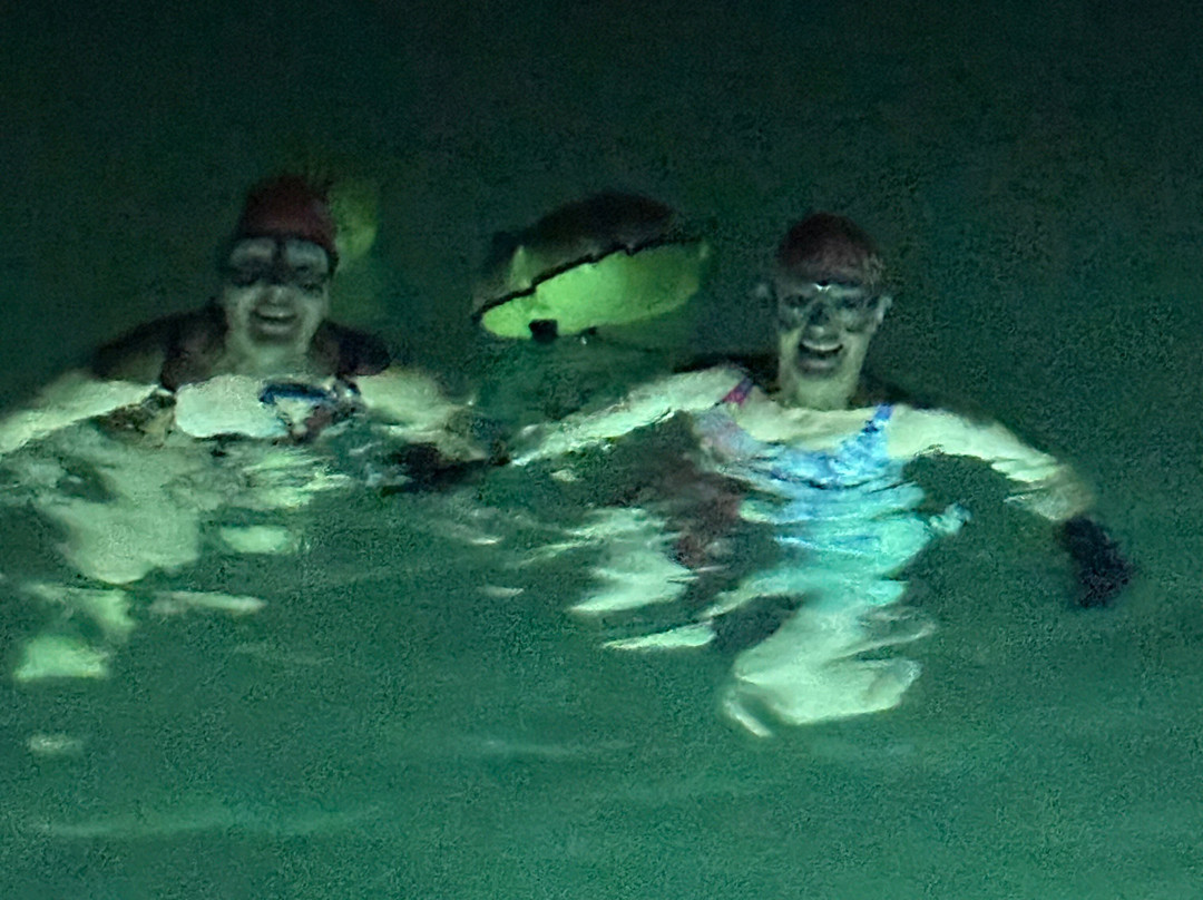 Basking Shark Scotland-奥本必去景点