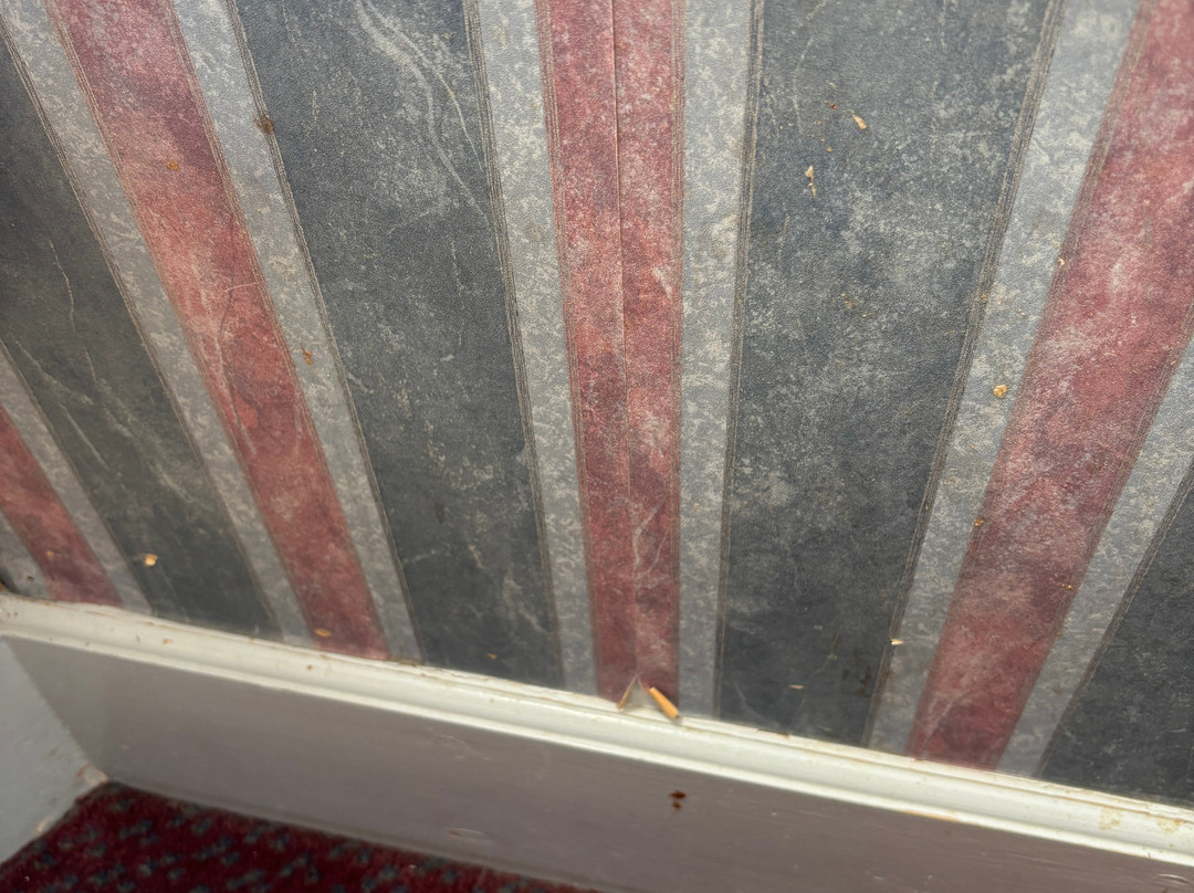 Grand Hotel Lerwick主图