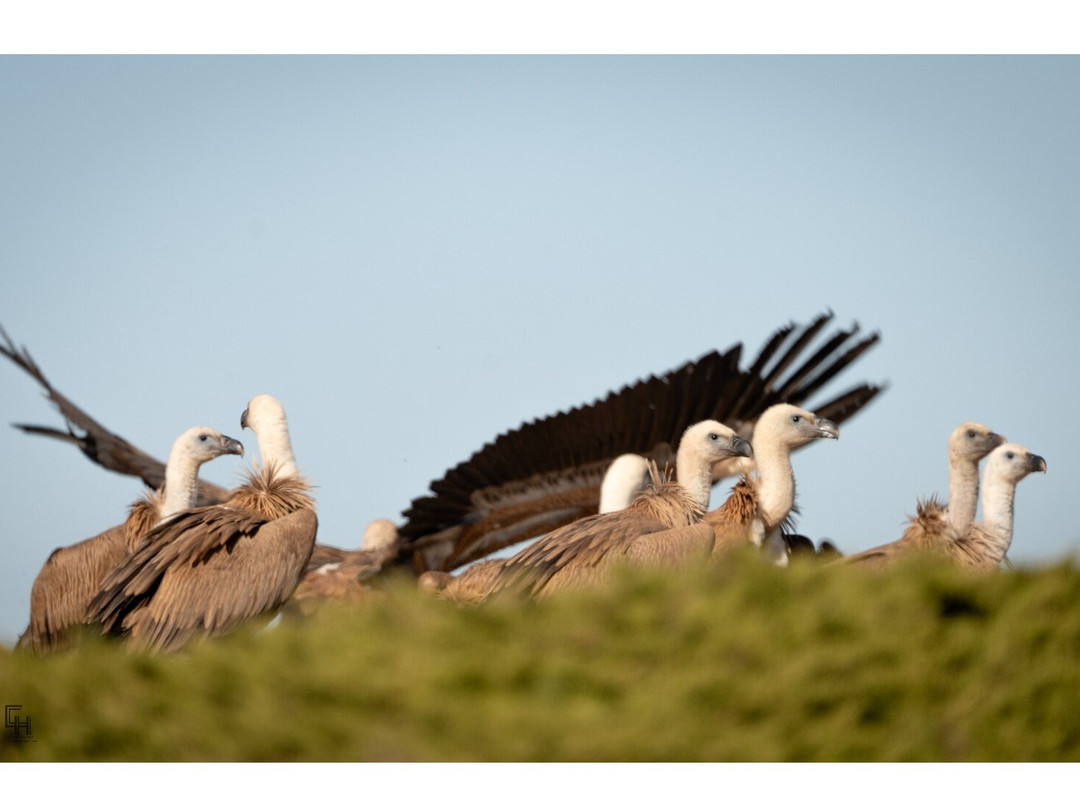 EcoActiva Turismo Activo-格拉纳达必去景点