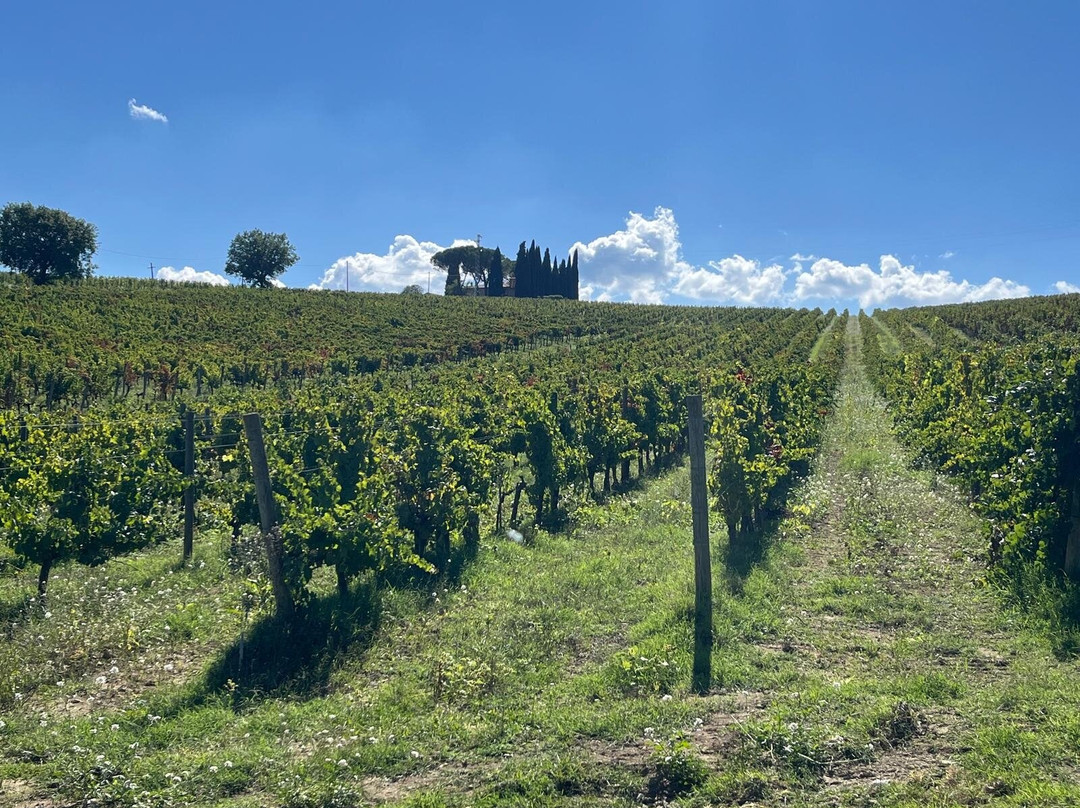 Azienda Agraria Scacciadiavoli-Montefalco必去景点