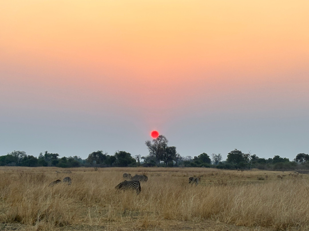 Shenton Safaris Kaingo Camp主图