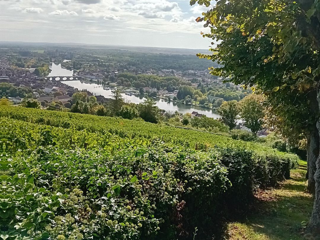 Belvédère de la côte Saint-Jacques-Joigny必去景点