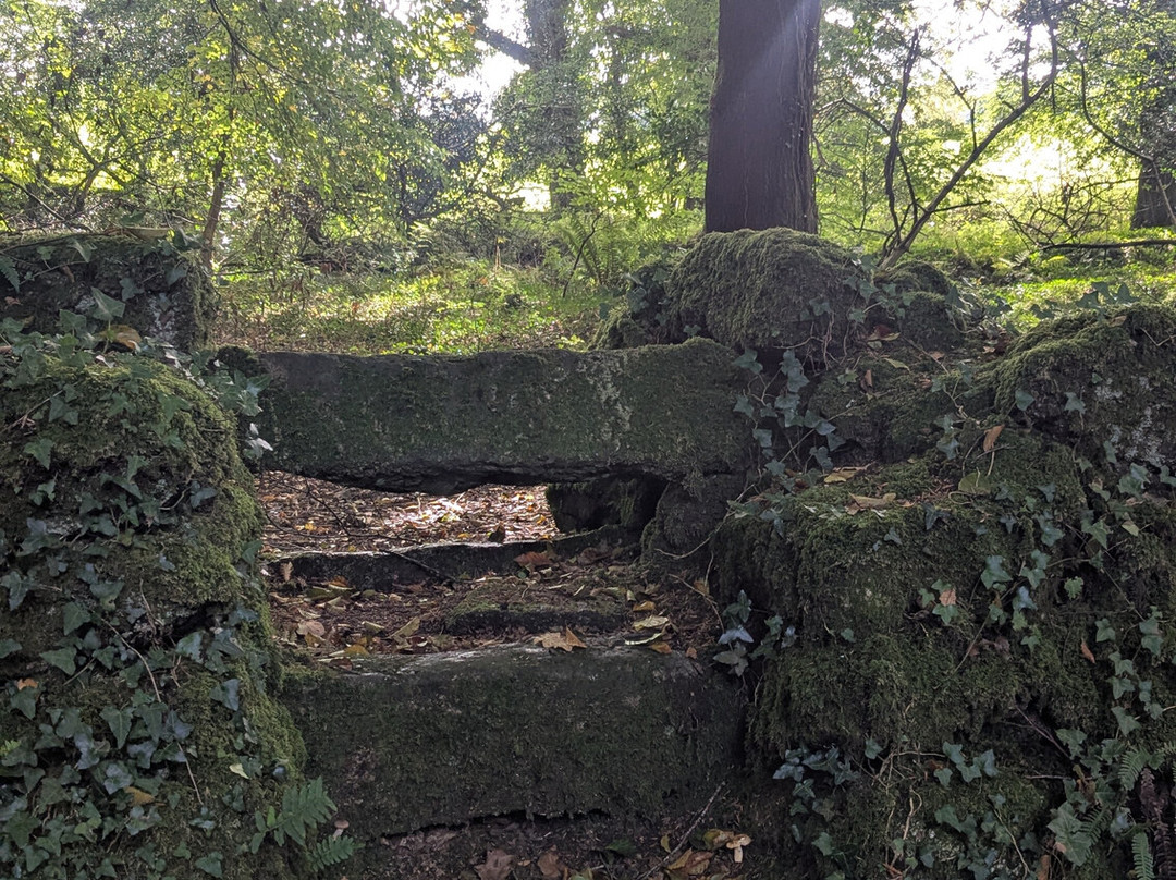 Luxulyan Valley to Prideaux Circular Walk-St Blazey必去景点