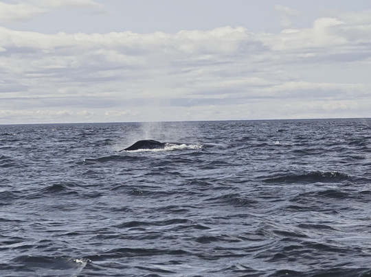 Du Fleuve-Les Escoumins必去景点