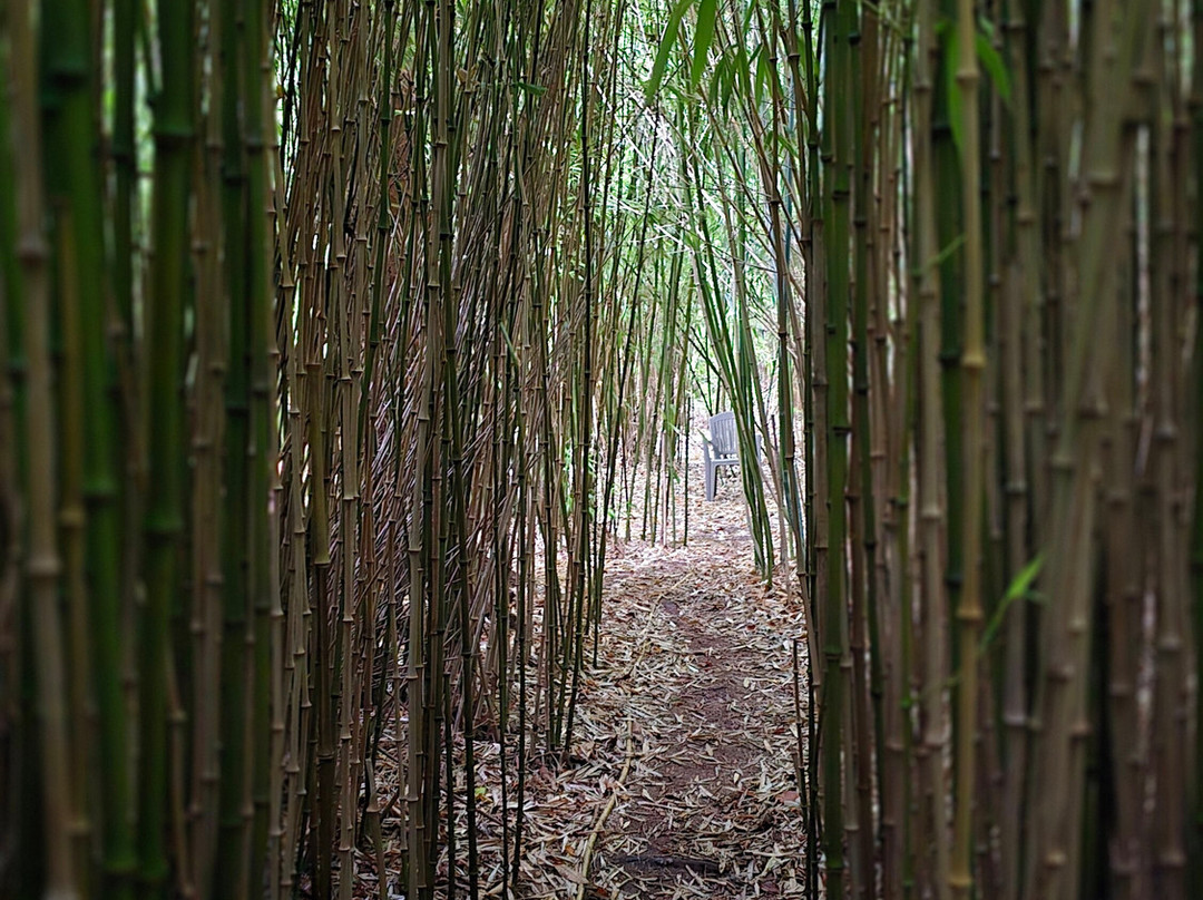 Jungle Garden-Eu必去景点