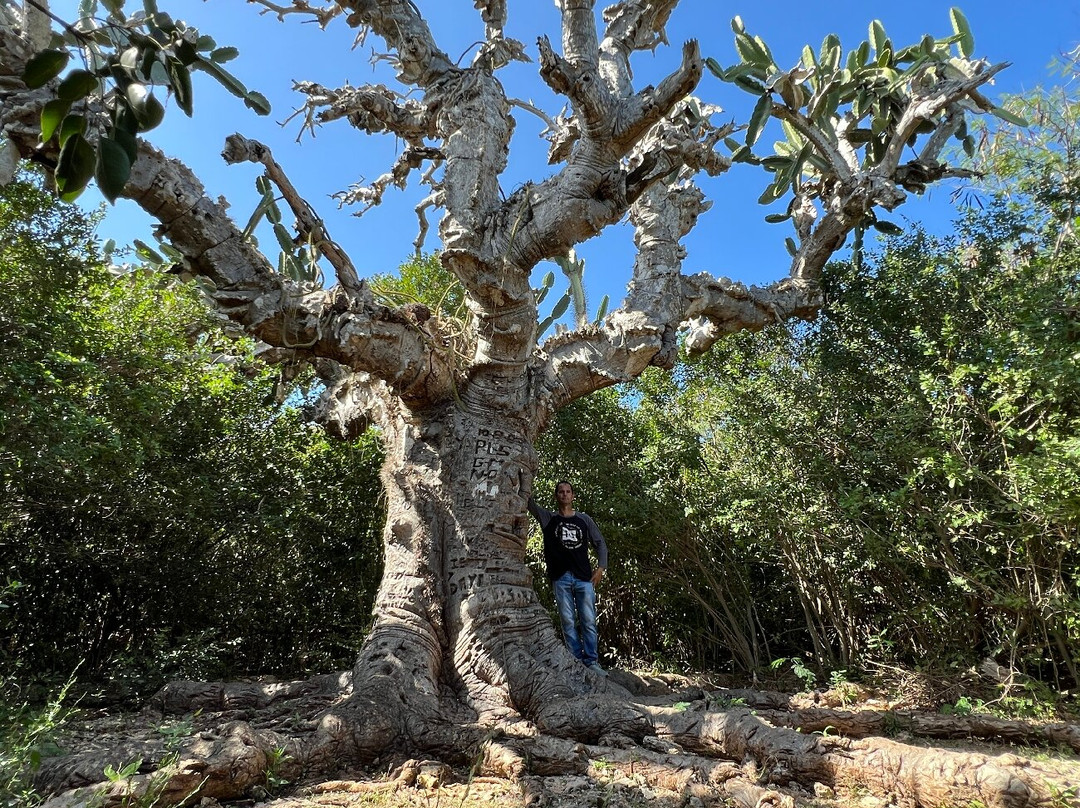 Varahicacos Ecological Reserve-巴拉德罗必去景点