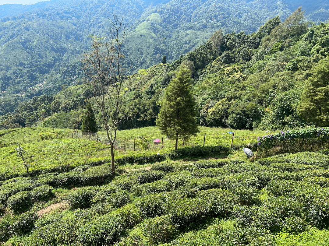 Chamong Chiabari mountain retreat主图