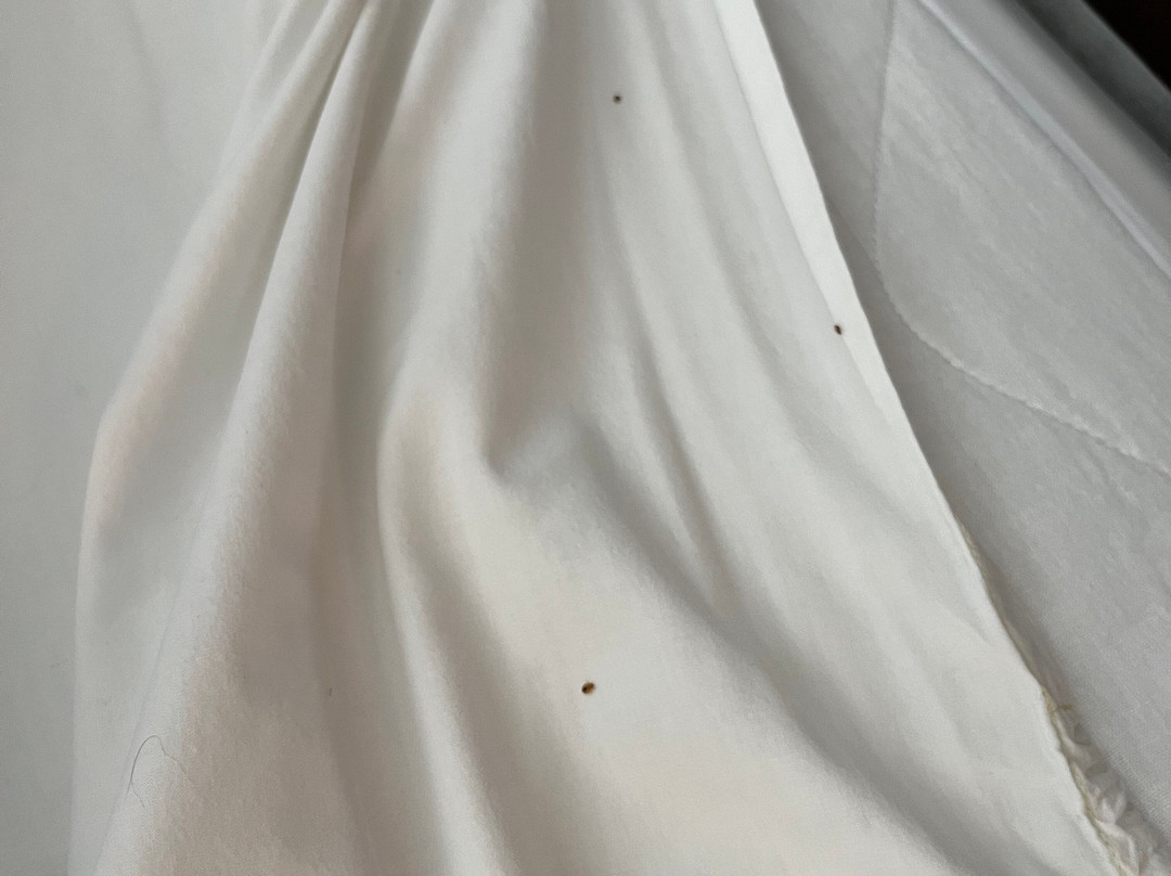 Hampton Inn Waycross主图