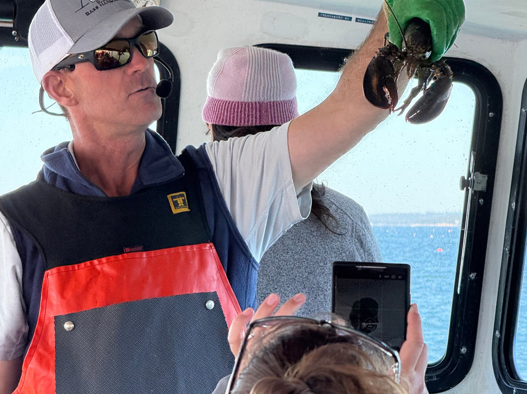 Island Cruises-Bass Harbor必去景点