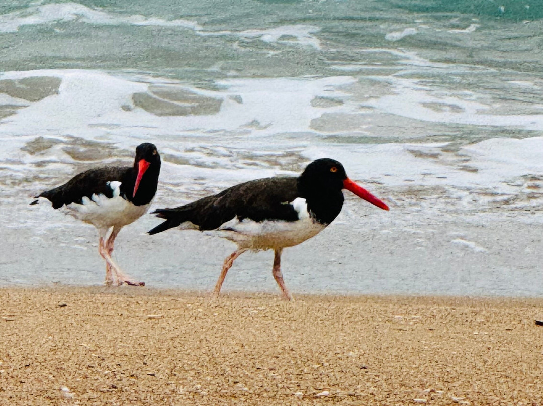 Hotel Villa Polinesia Chamela主图