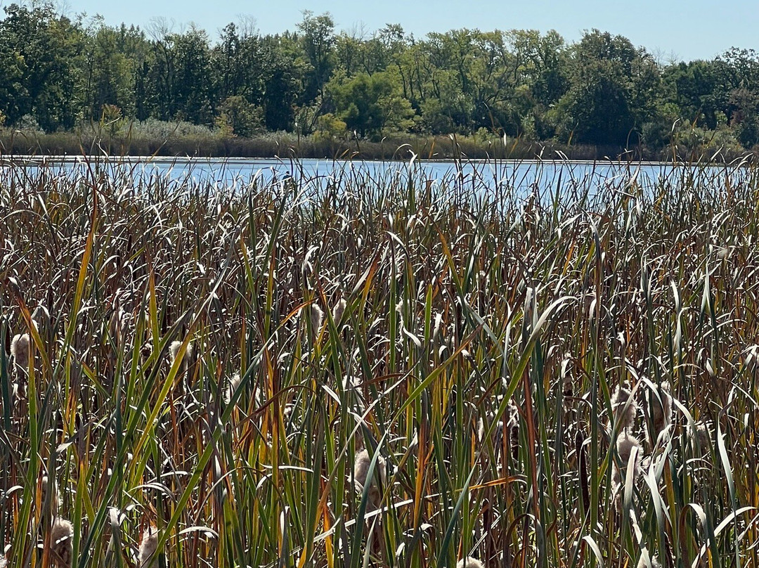 Hastings Lake Preserve-Lake Villa必去景点