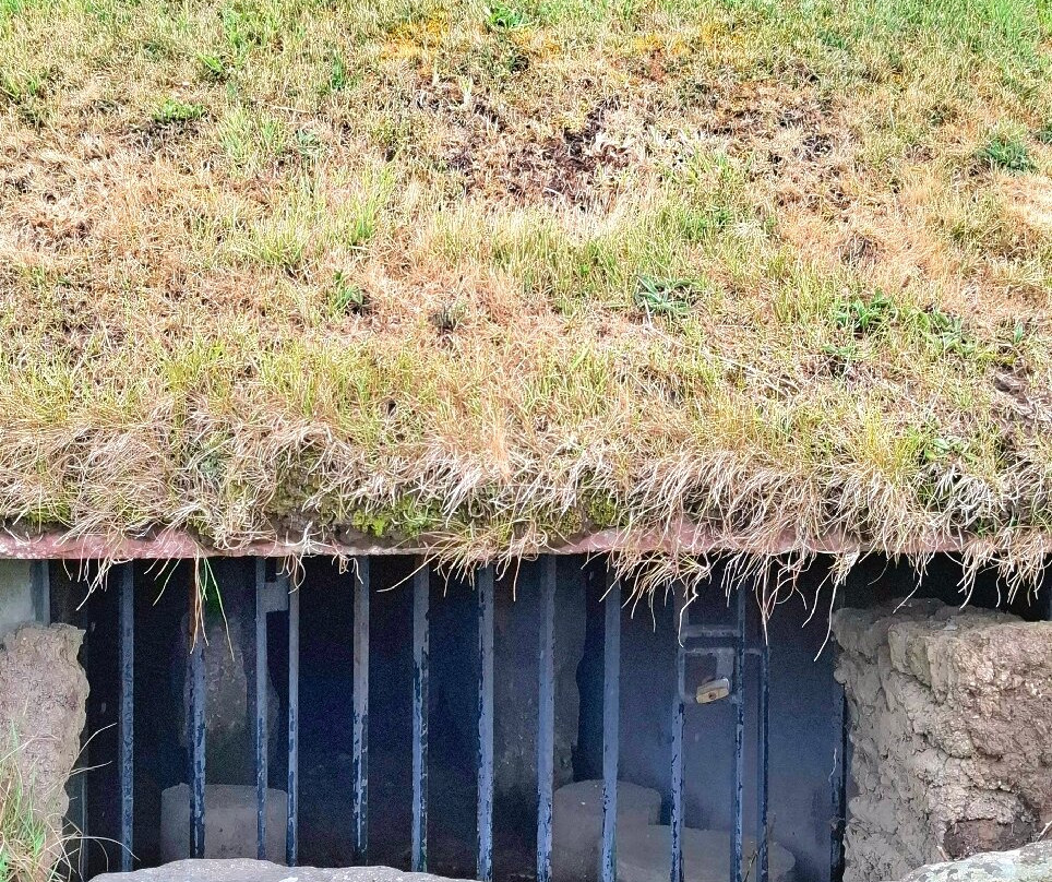 Knowth Megalithic Passage Tomb-Donore必去景点