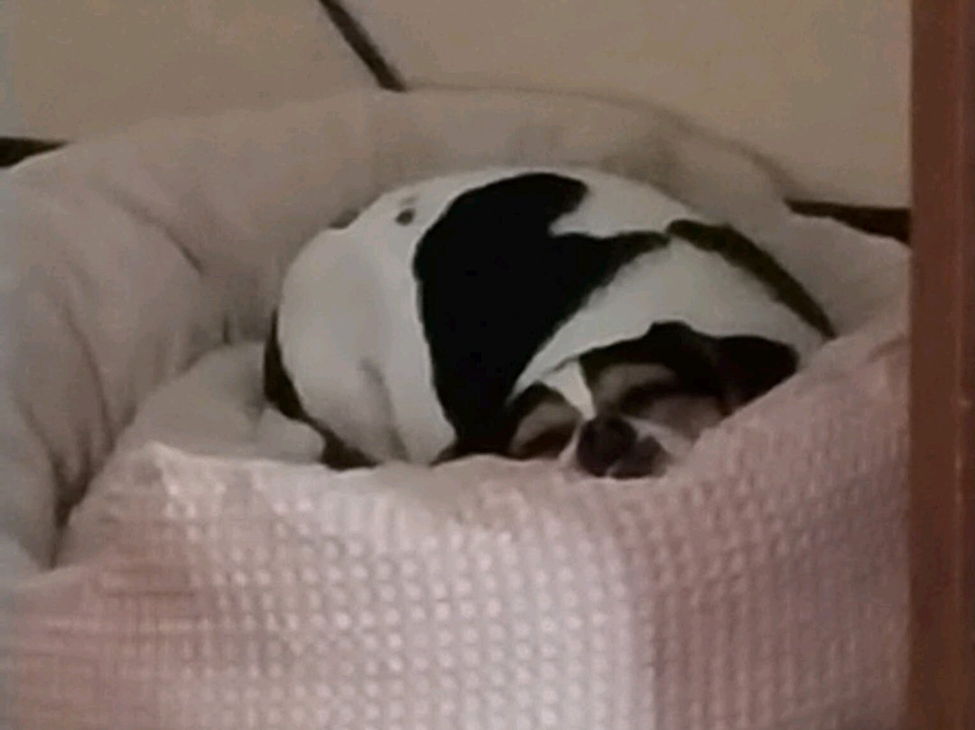 WoodSpring Suites Fort Wayne主图