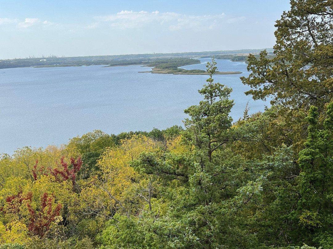 Spring Lake Park Reserve-黑斯廷必去景点
