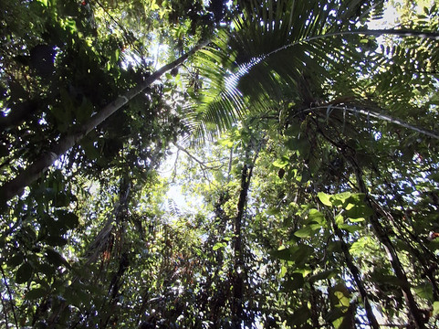 Vida Tours Ecuador-基多必去景点