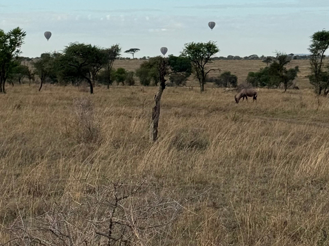 Travel Africa Safari Agency-Usa River必去景点