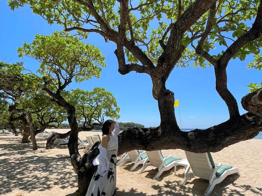 Bali Bus Rental-孟格威必去景点