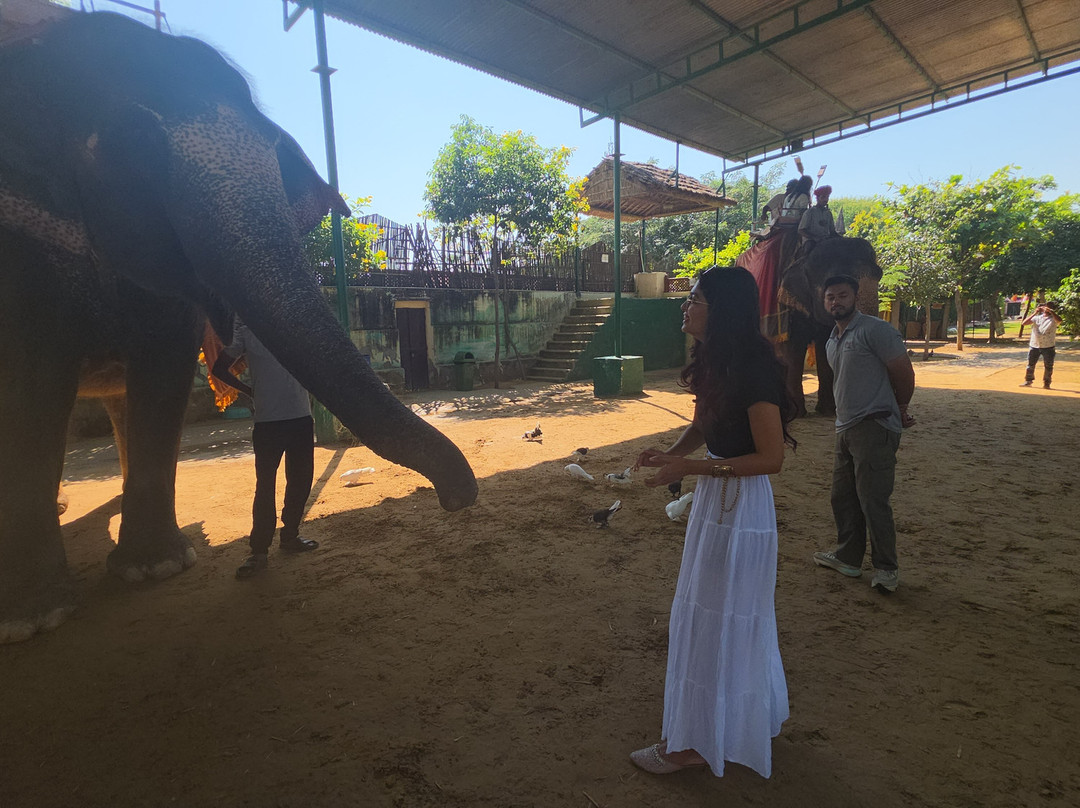 EleJungle-Amer必去景点