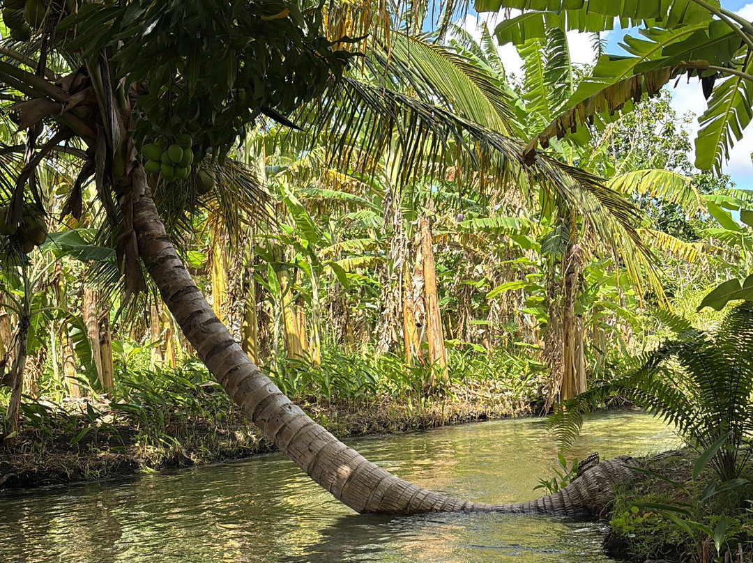 Recanto Manga Rosa-Rio do Fogo必去景点