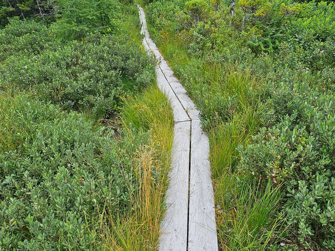Murphy's Cove Lodge's Pond Trail-Port Union必去景点