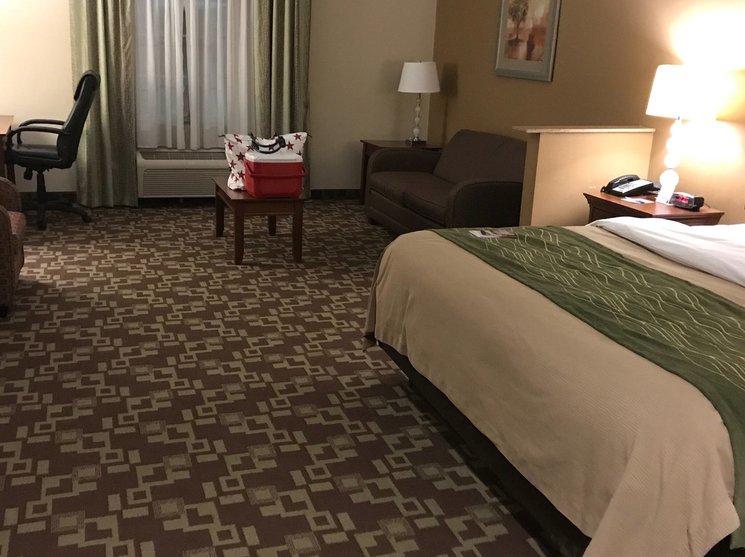 Comfort Inn & Suites主图