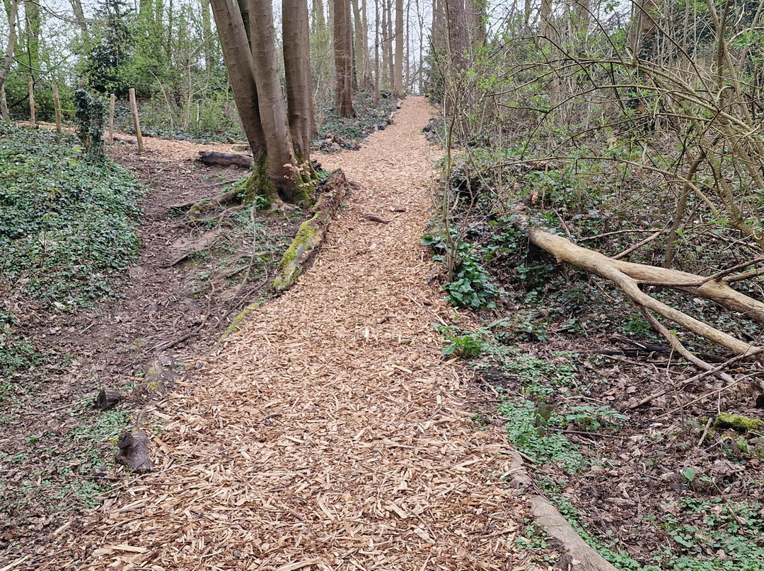 Parc de Woluwe-沃吕韦圣彼得必去景点