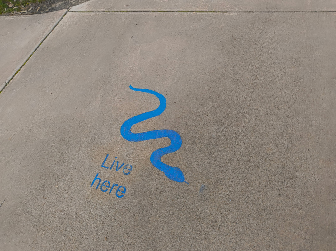 Adventurescape Playground-South Yunderup必去景点