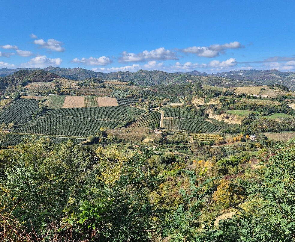 钢琴农庄酒店主图