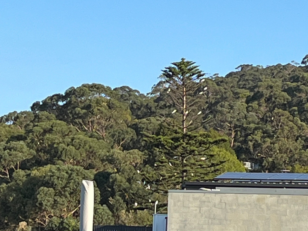 桑德里奇汽车旅馆主图