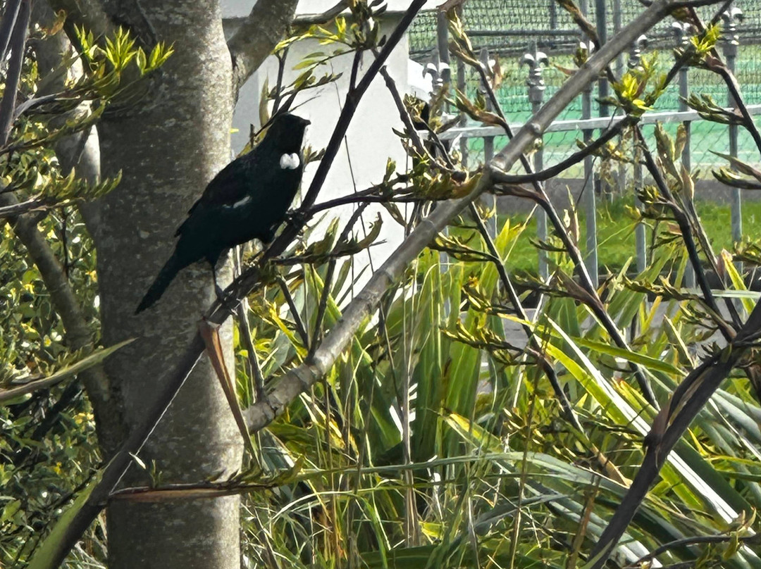 菲茨赫伯特堡汽车旅馆主图