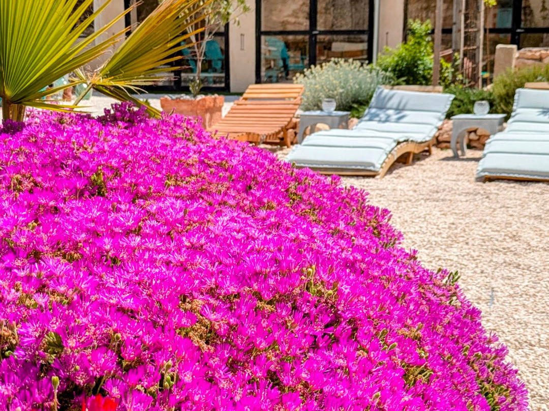 Casa Rodriguillo主图