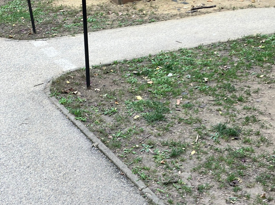 Batthyány tér Park-焦尔必去景点