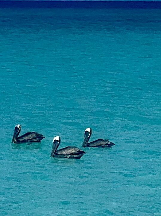 Posada Macondo主图