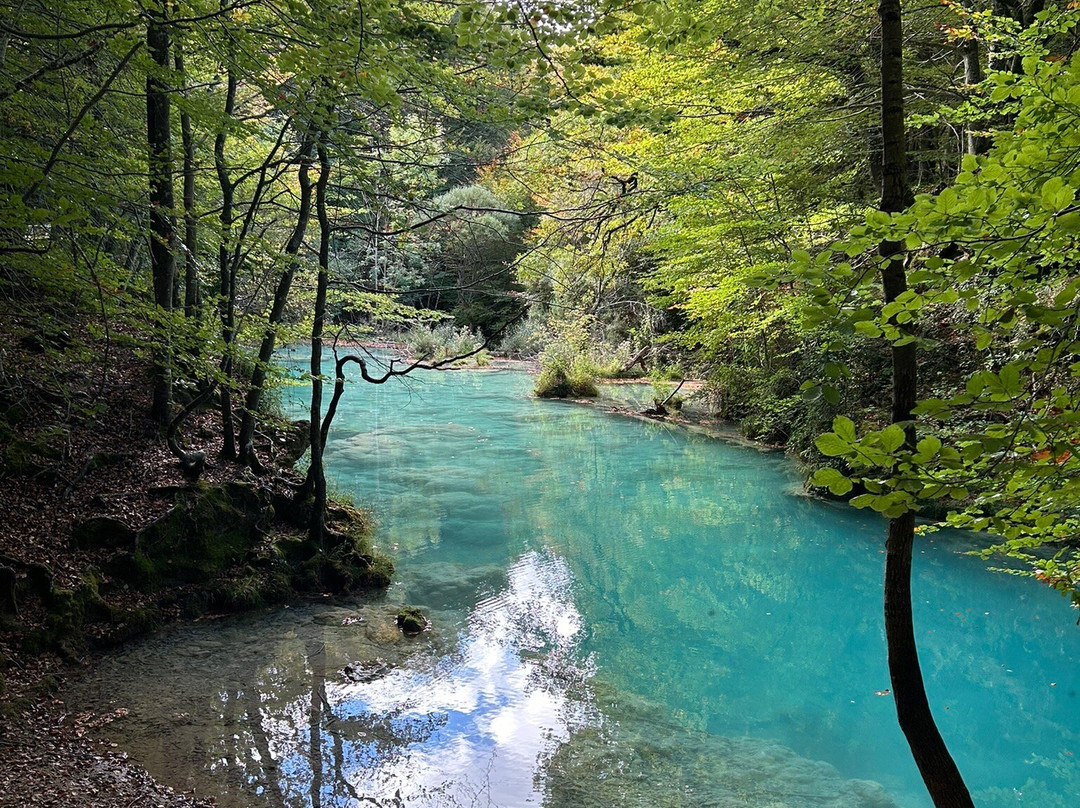 Nacedero del Urederra-Baquedano必去景点