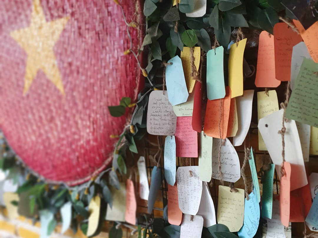 会安椰子树下民宿主图