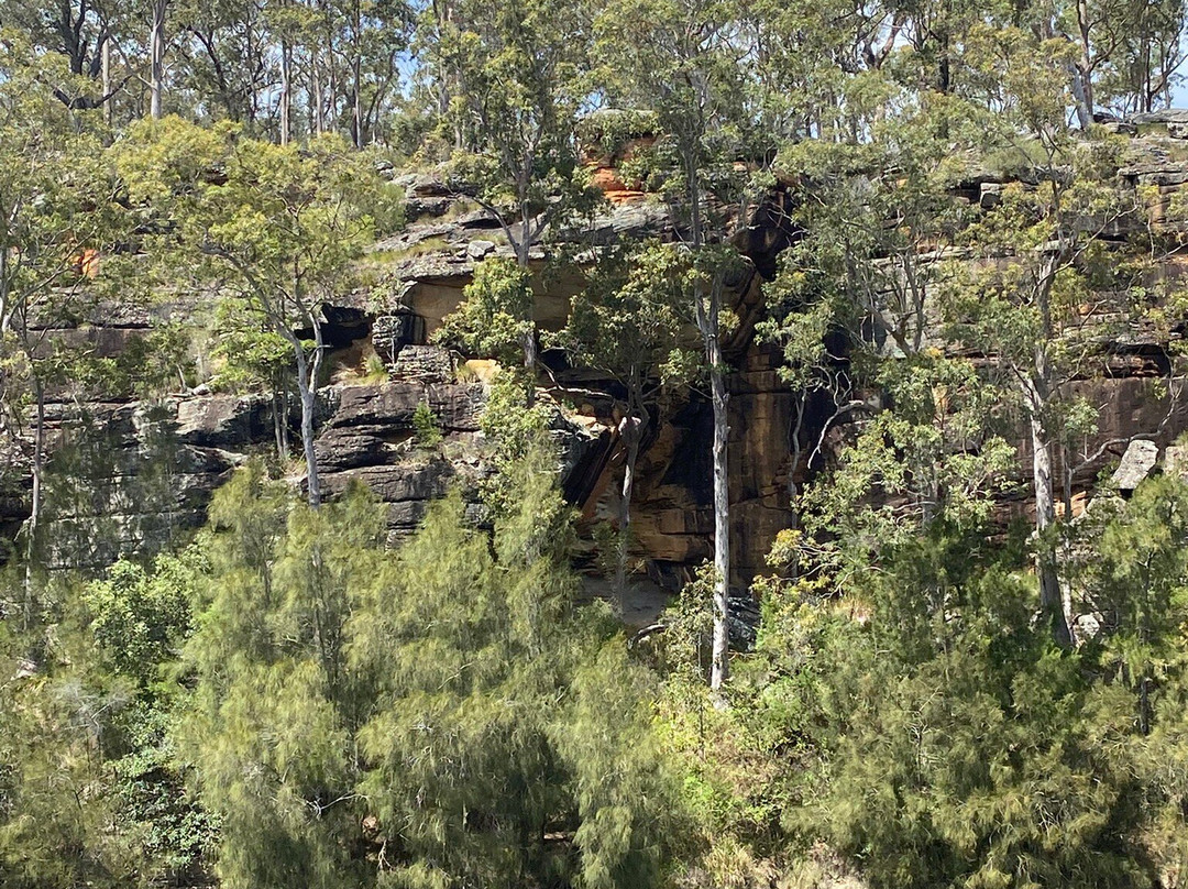 Shoalhaven River Cruise-瑙拉必去景点
