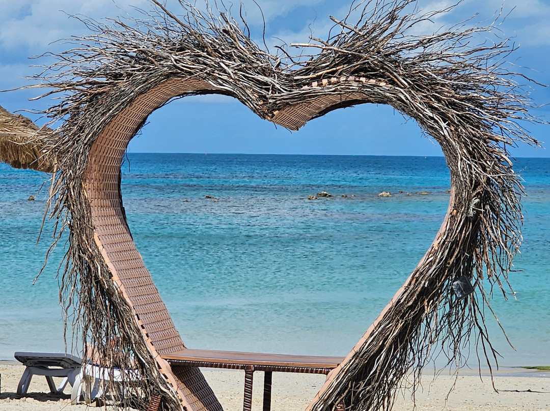 Snorkel Park Beach Club-Somerset Village必去景点