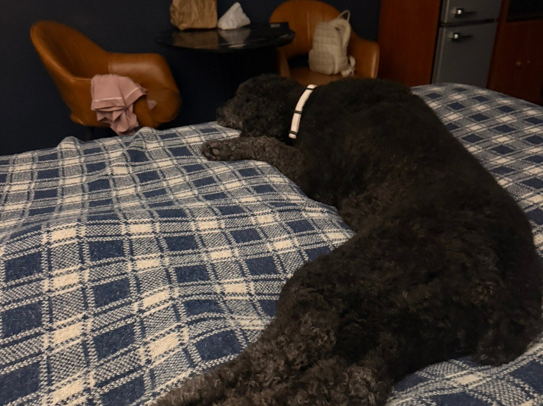 The Angler Lodge主图